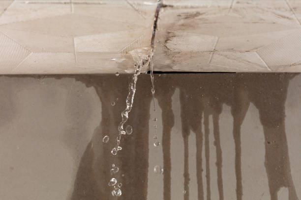 Professional Sewage Cleanup technician working in Newton Lower Falls, MA